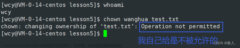 【Linux】权限管理——还在因为没有权限而头疼？手把手教你修改权限,Linux,linux,运维,服务器