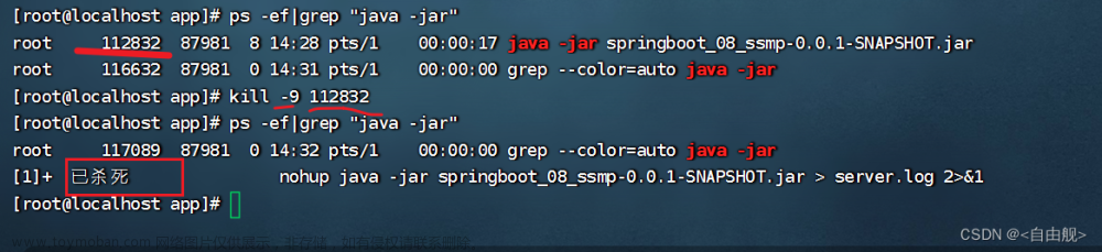 linux 运行springboot项目,Java,java,linux,开发语言