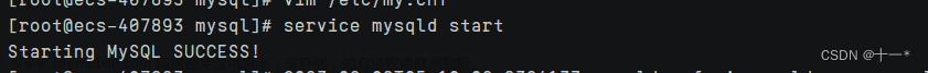 Linux服务器中启动mysql出现Redirecting to /bin/systemctl start mysql.service错误及处理,mysql,服务器,linux