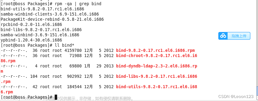 linux搭建dns服务器,Linux,linux,服务器,运维