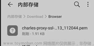 charles抓包 ipad,https,网络协议,http