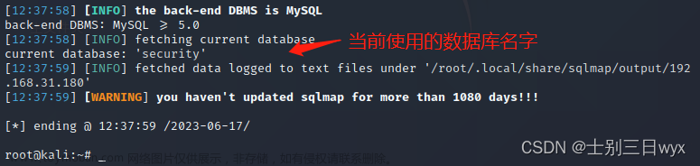 sqlmap教程,《网络安全快速入门》,网络安全,人工智能,ai