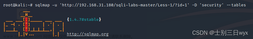 sqlmap教程,《网络安全快速入门》,网络安全,人工智能,ai
