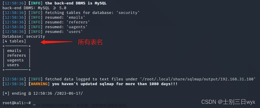 sqlmap教程,《网络安全快速入门》,网络安全,人工智能,ai