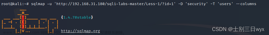 sqlmap教程,《网络安全快速入门》,网络安全,人工智能,ai