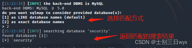 sqlmap教程,《网络安全快速入门》,网络安全,人工智能,ai