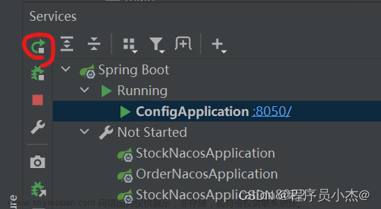 Java之SpringCloud Alibaba【三】【微服务Nacos-config配置中心】,Java[精选]一篇精通系列【头脑风暴】,Java,SpringCloud,java,spring cloud,微服务