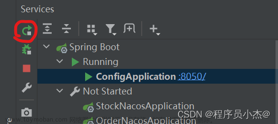 Java之SpringCloud Alibaba【三】【微服务Nacos-config配置中心】,Java[精选]一篇精通系列【头脑风暴】,Java,SpringCloud,java,spring cloud,微服务