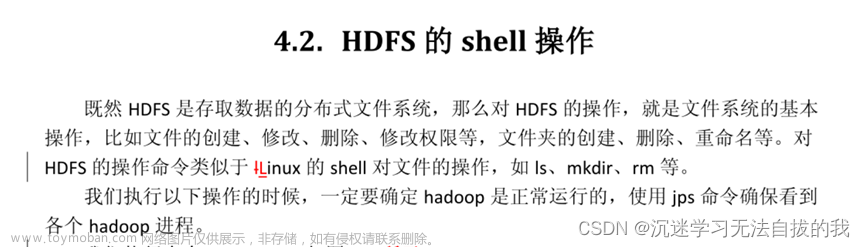 分布式文件系统与HDFS的shell操作及查看元数据,hadoop,hdfs,hadoop,大数据