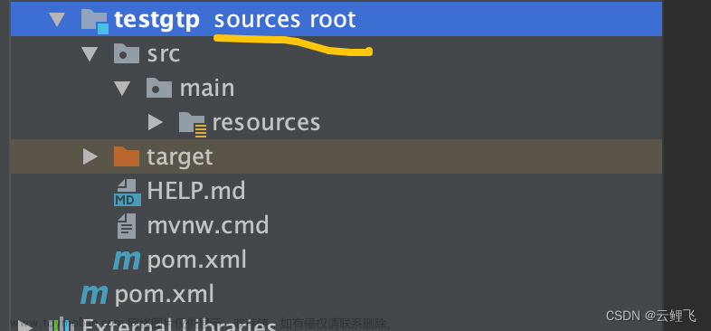 IDEA项目java文件夹出现source root标记怎么处理,java后端,intellij-idea,java