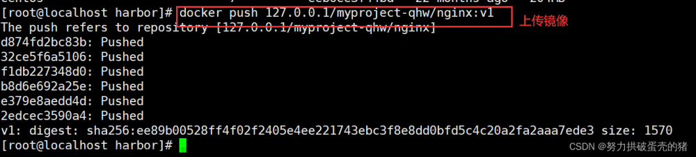 Docker Compose 容器编排 + Docker--harbor私有仓库部署与管理,docker,java,eureka