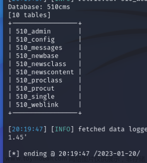 sqlmap判斷是否有注入,網(wǎng)絡空間安全,sql,安全,web安全,Powered by 金山文檔
