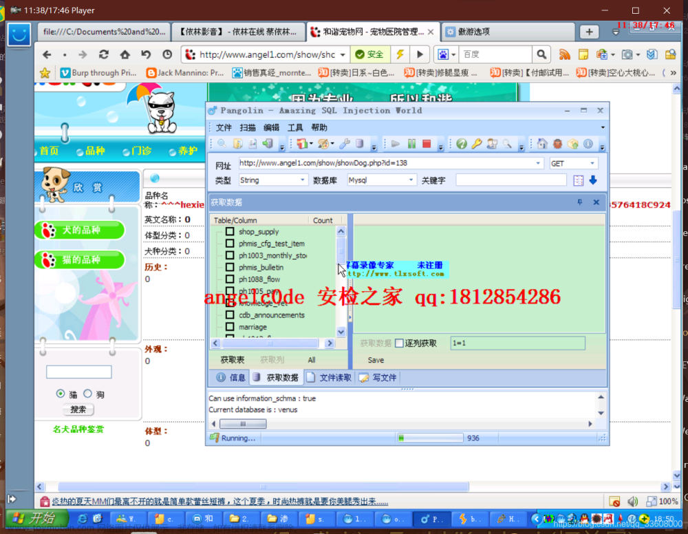 log4j2burpscanner,服务器,运维,web安全,安全