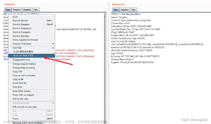 log4j2burpscanner,服务器,运维,web安全,安全