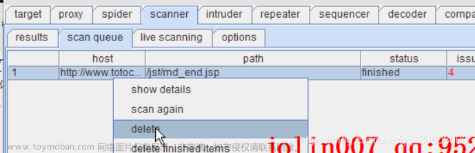 log4j2burpscanner,服务器,运维,web安全,安全