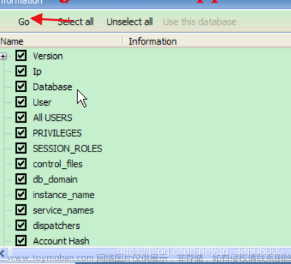 log4j2burpscanner,服务器,运维,web安全,安全