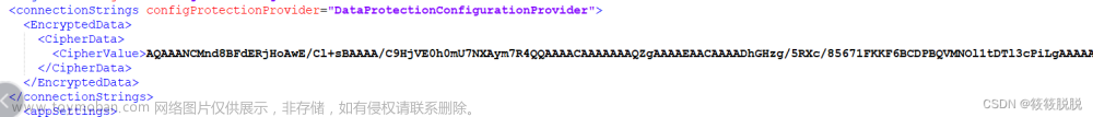 C# App.config和Web.config加密,服務(wù)器,運維,IIS,aspnet_regiis