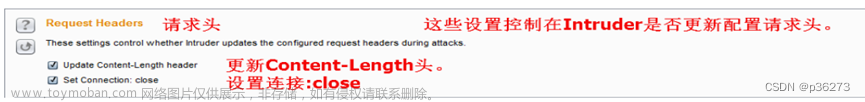 抓包工具burp,web安全,web安全工具介绍与安装,web安全