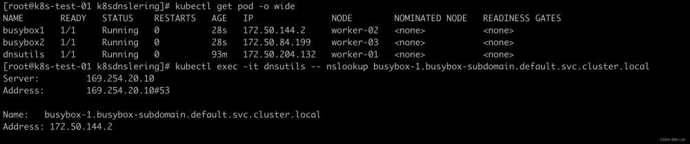 k8s 配置dns,k8s,kubernetes,linux,容器