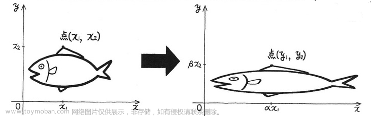 线性代数,数学,线性代数,矩阵,算法