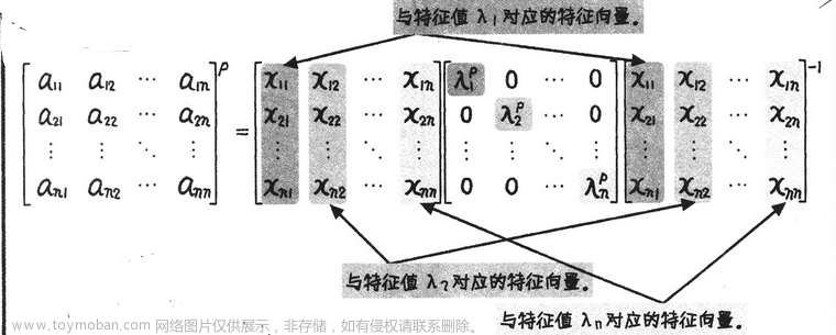 线性代数,数学,线性代数,矩阵,算法