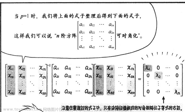 线性代数,数学,线性代数,矩阵,算法