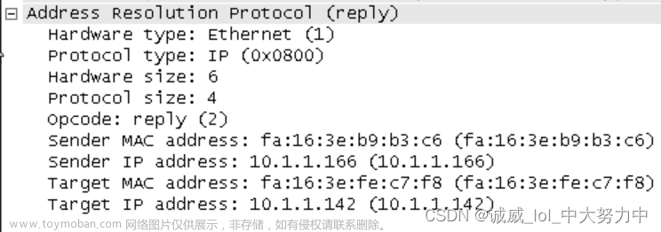 Wireshark数据抓包分析之ARP协议,网络相关,网络