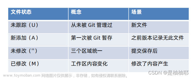 Git 版本控制系统,Git,git,elasticsearch,大数据