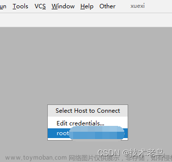 idea remote,intellij-idea,java,ide