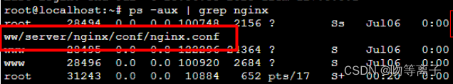 nginx启动没有权限,服务器,nginx,java,前端