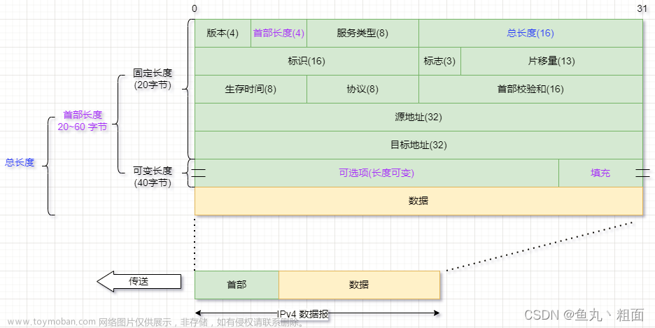 ip报文版本号,网络工程,网络协议,tcp/ip,IPv4,IPv6