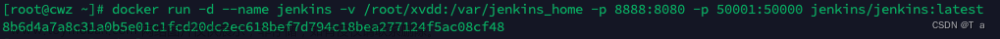 docker 安裝docker-compose,jenkins+docker,docker,容器,python,測試工具