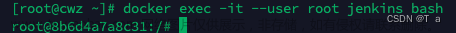 docker 安裝docker-compose,jenkins+docker,docker,容器,python,測試工具