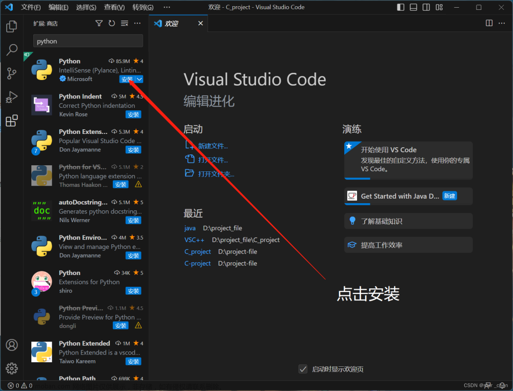 vscode设置python环境变量,vscode环境配置,vscode,编辑器,python