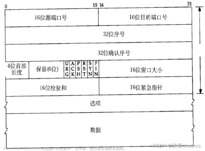 【传输层】网络基础 -- UDP协议 | TCP协议,Linux网络基础,网络,udp,tcp/ip