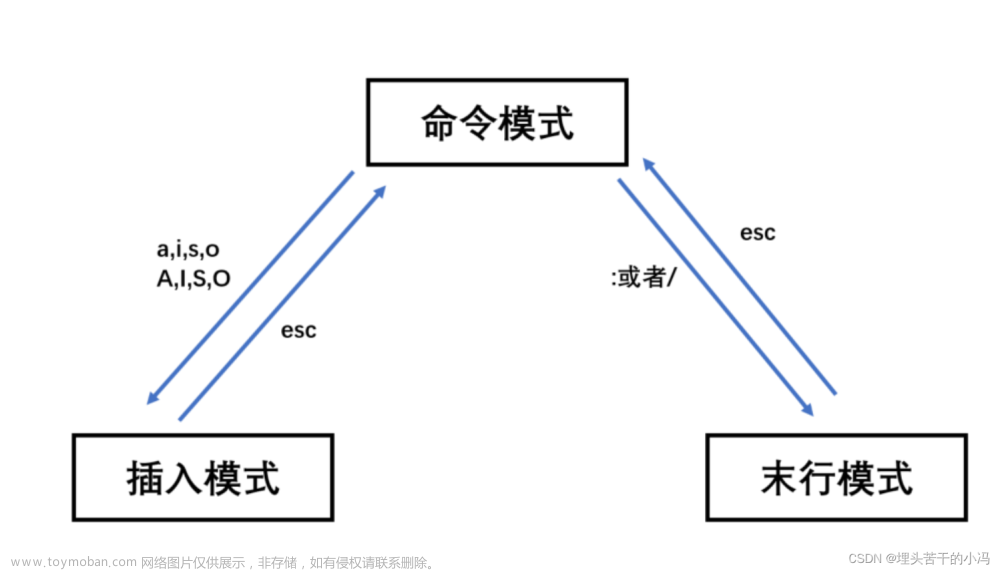 LINUX 文件基本管理,Linux,linux,运维,服务器