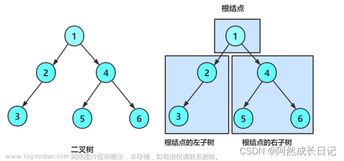 【数据结构】二叉树基础入门,数据结构与算法,数据结构