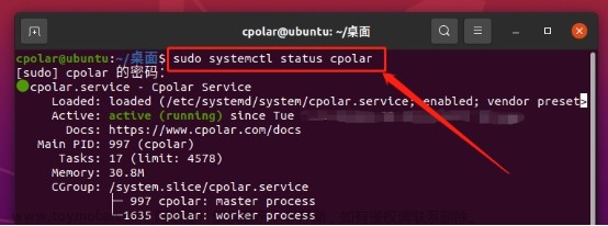 轻松部署高颜值社区，在Ubuntu上搭建Cpolar+HYBBS论坛指南,拓展领域,ubuntu,linux,运维