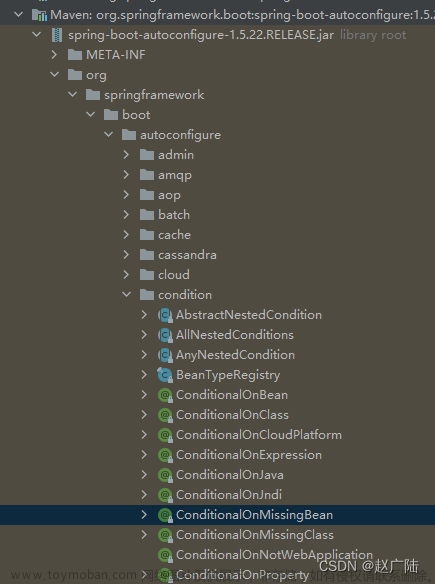 Spring框架中的@Conditional系列注解,spring,spring boot,后端,java