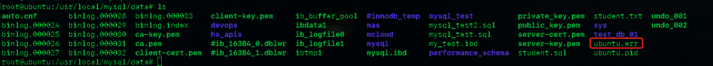 MySQL运维1-日志