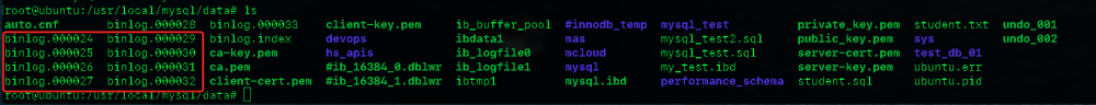 MySQL运维1-日志