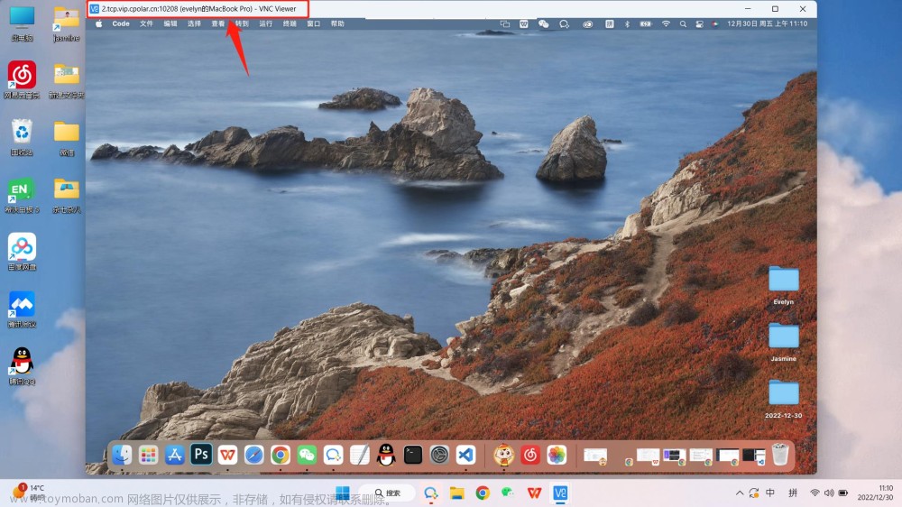 使用mac自带VNC公网远程控制macOS,网络知识,网络穿透,macos