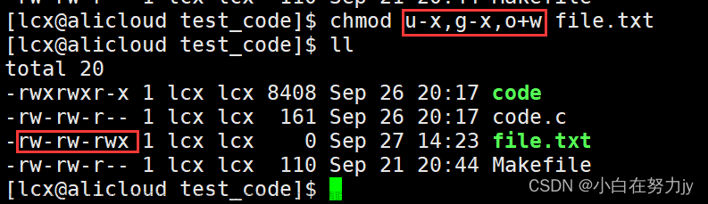[Linux 基础] 一篇带你了解linux权限问题,Linux,linux,运维,服务器