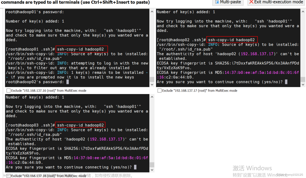 Hadoop分布式安装,Hadoop,1024程序员节,hadoop,大数据