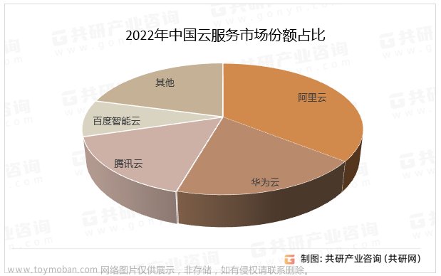 中国云计算市场份额排名,云计算