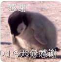 三目运算符,C语言的问题,c语言,开发语言,ubuntu,linux