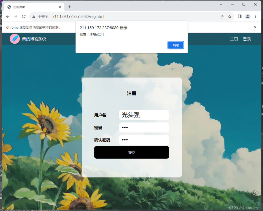 自动化项目实战 [个人博客系统],自动化,windows,运维,1024程序员节,单元测试