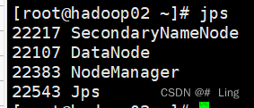 虚拟机hadoop集群搭建,hadoop,大数据,分布式